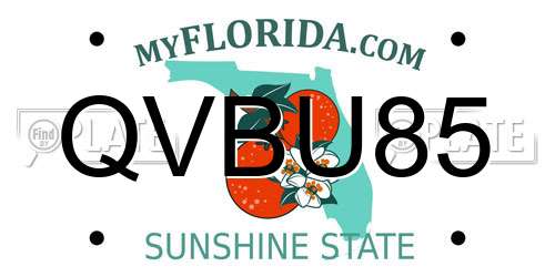 QVBU85 Florida License Plate