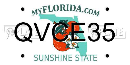 QVCE35 Florida License Plate