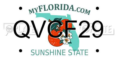QVCF29 Florida License Plate