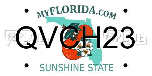 QVCH23 Florida License Plate