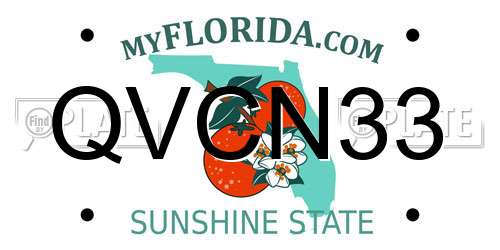 QVCN33 Florida License Plate