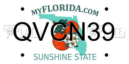 QVCN39 Florida License Plate