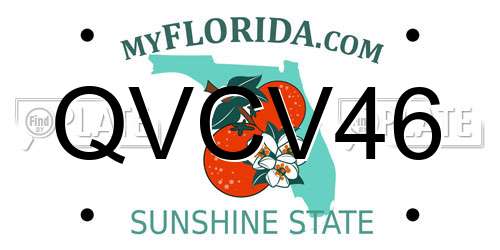 QVCV46 Florida License Plate