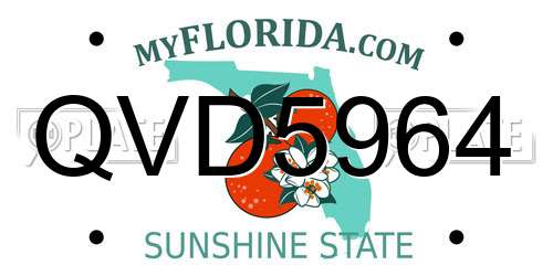 QVD5964 Florida License Plate