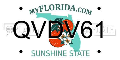 QVDV61 Florida License Plate