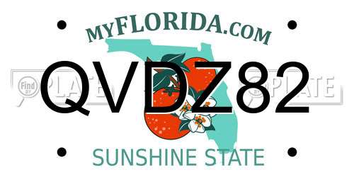 QVDZ82 Florida License Plate