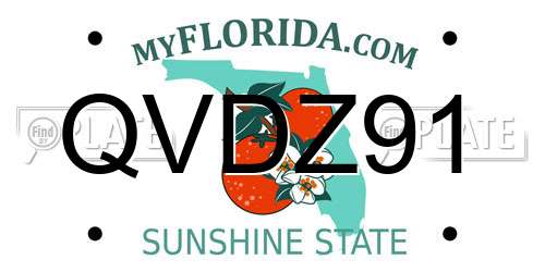 QVDZ91 Florida License Plate