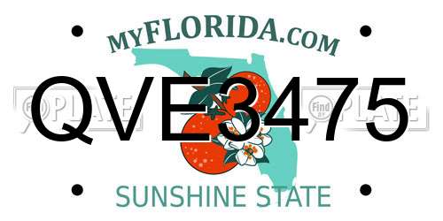 QVE3475 Florida License Plate
