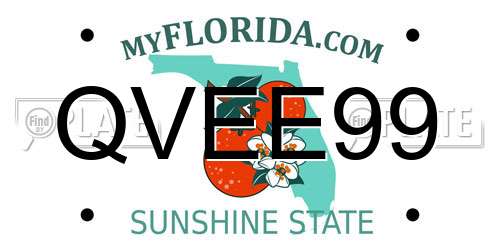QVEE99 Florida License Plate