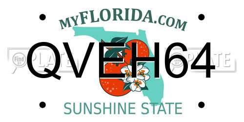 QVEH64 Florida License Plate