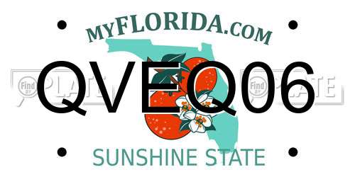 QVEQ06 Florida License Plate