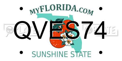 QVES74 Florida License Plate