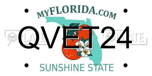 QVET24 Florida License Plate