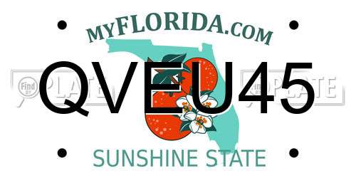 QVEU45 Florida License Plate