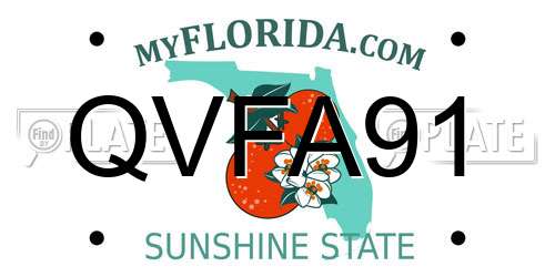 QVFA91 Florida License Plate