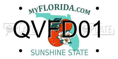 QVFD01 Florida License Plate