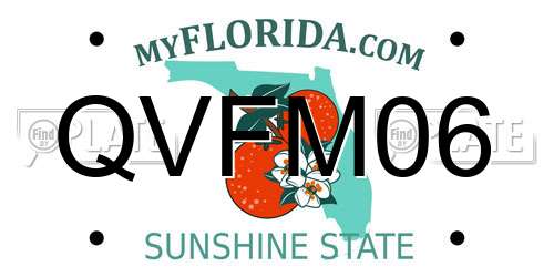 QVFM06 Florida License Plate