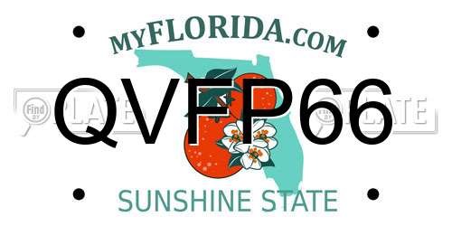 QVFP66 Florida License Plate