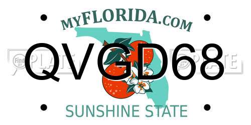 QVGD68 Florida License Plate