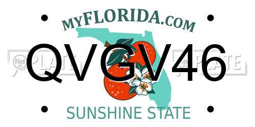 QVGV46 Florida License Plate