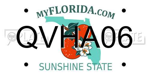 QVHA06 Florida License Plate