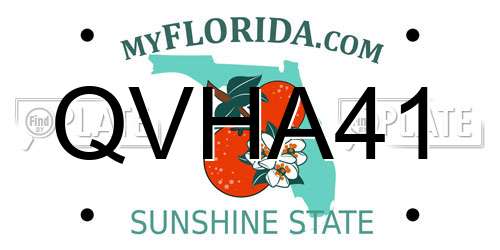 QVHA41 Florida License Plate
