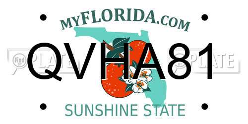 QVHA81 Florida License Plate