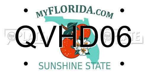 QVHD06 Florida License Plate