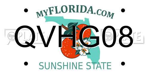 QVHG08 Florida License Plate