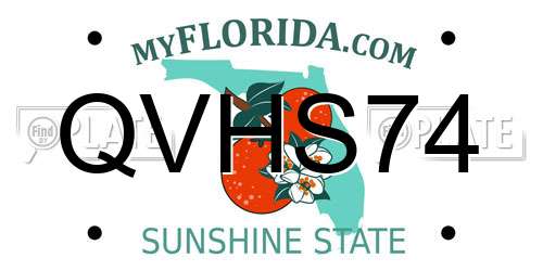 QVHS74 Florida License Plate