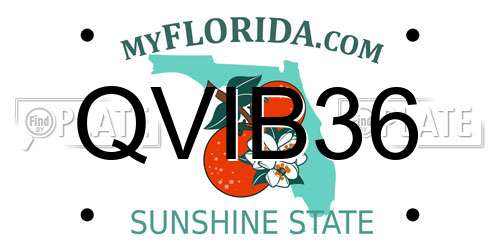 QVIB36 Florida License Plate