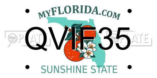 QVIF35 Florida License Plate