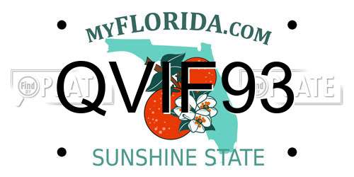 QVIF93 Florida License Plate