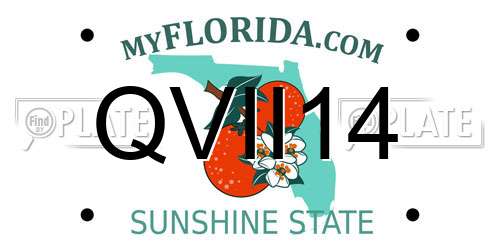 QVII14 Florida License Plate