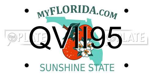 QVII95 Florida License Plate