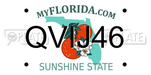 QVIJ46 Florida License Plate