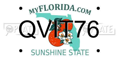 QVIT76 Florida License Plate