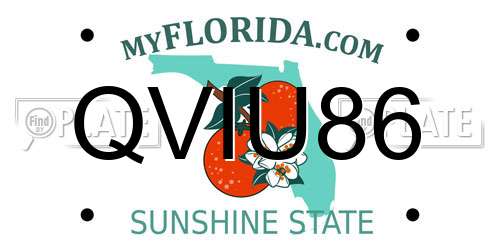 QVIU86 Florida License Plate