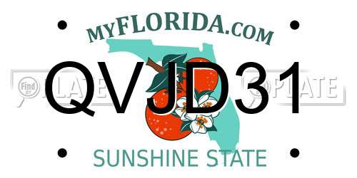 QVJD31 Florida License Plate