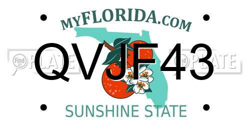 QVJF43 Florida License Plate