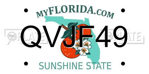 QVJF49 Florida License Plate