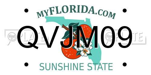 QVJM09 Florida License Plate