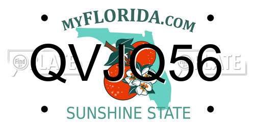 QVJQ56 Florida License Plate