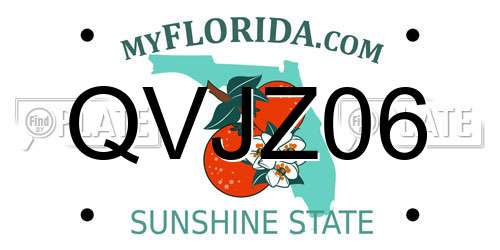 QVJZ06 Florida License Plate