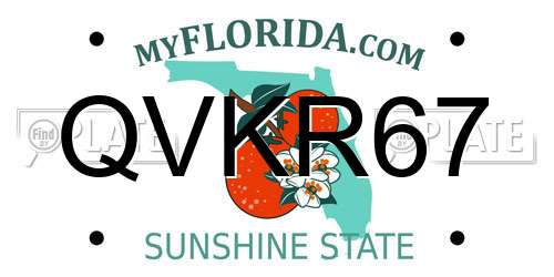 QVKR67 Florida License Plate