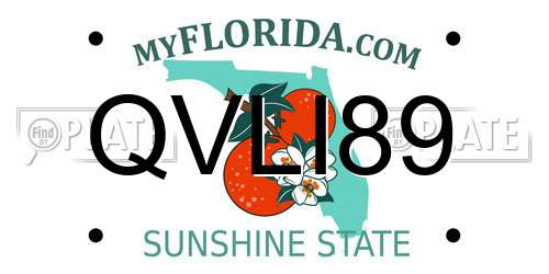 QVLI89 Florida License Plate