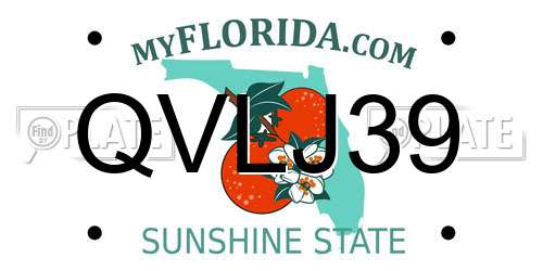 QVLJ39 Florida License Plate