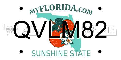 QVLM82 Florida License Plate