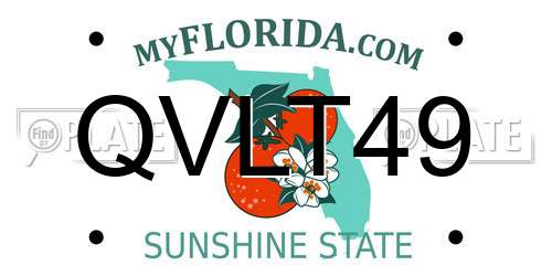QVLT49 Florida License Plate
