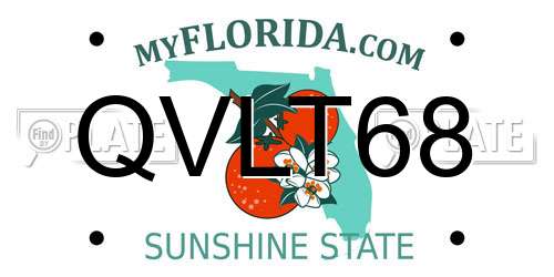 QVLT68 Florida License Plate